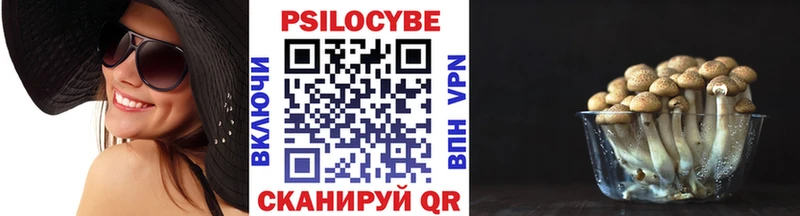 Галлюциногенные грибы прущие грибы Талдом