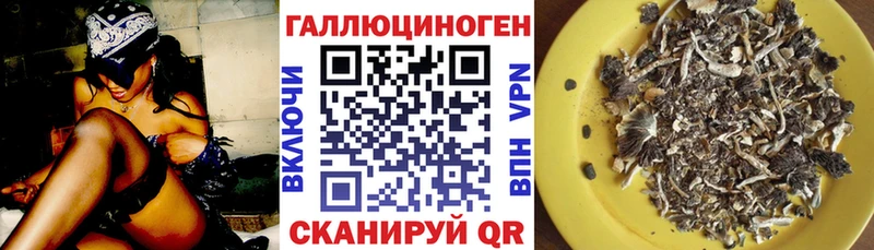 Псилоцибиновые грибы Cubensis  купить   kraken рабочий сайт  Талдом 